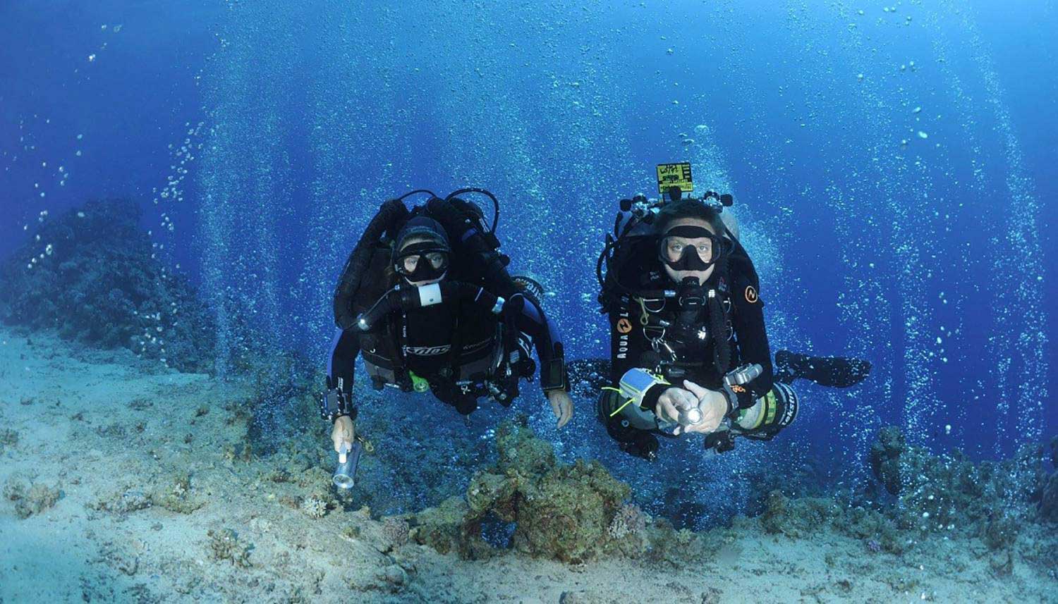Hurghada Diving Trips - Bellevue Company